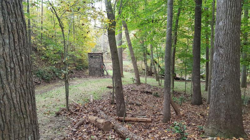 Timber plot