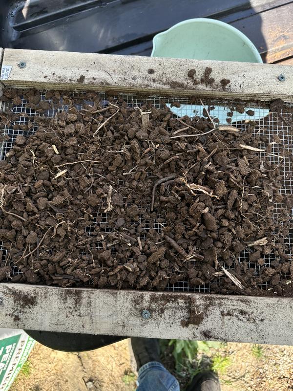 Peat moss screening