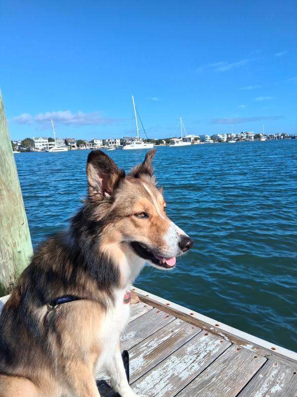 Sittin' on the Dock of the Bay.