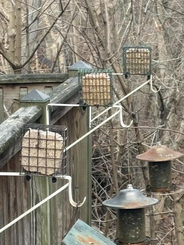 a closer look at suit stations with feeders below