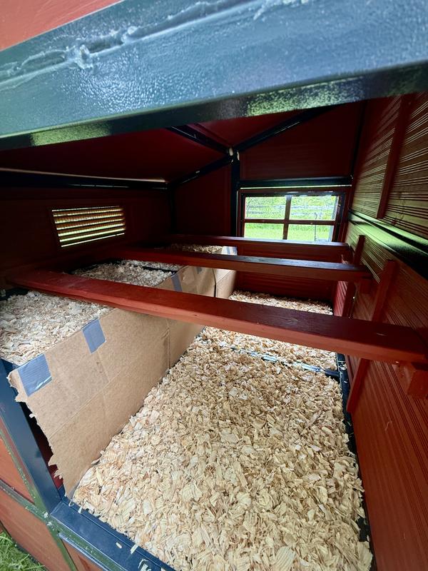 Coop Interior (nesting boxes blocked until closer to laying age)