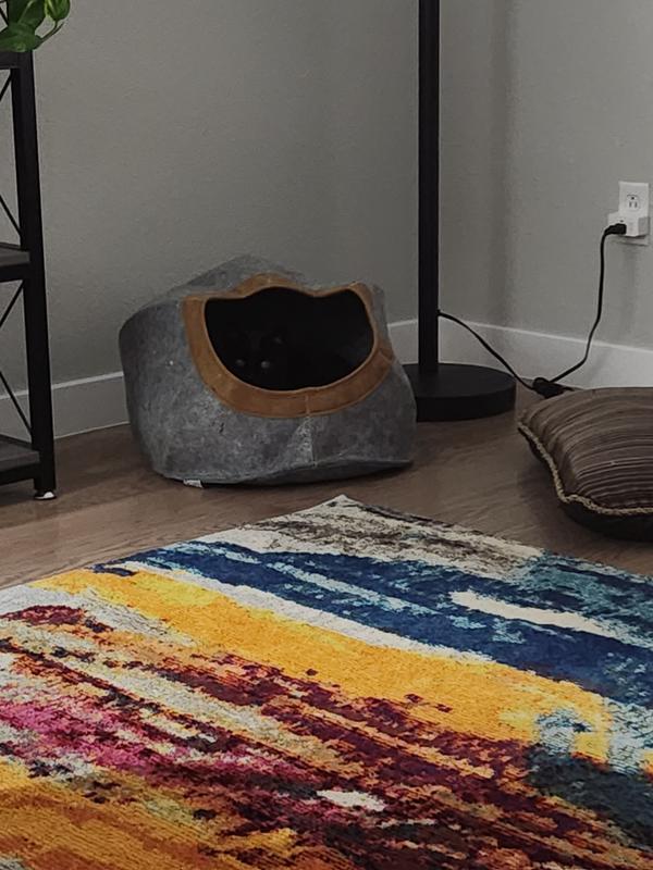 Look closely - there is a black cat inside.