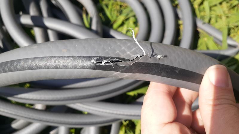 Review photo 4.