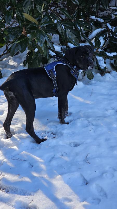 Her first time playing in snow.