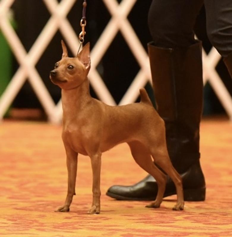 Penny winning at