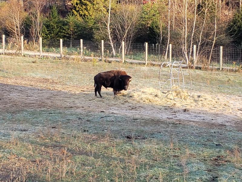Hay bale feeder