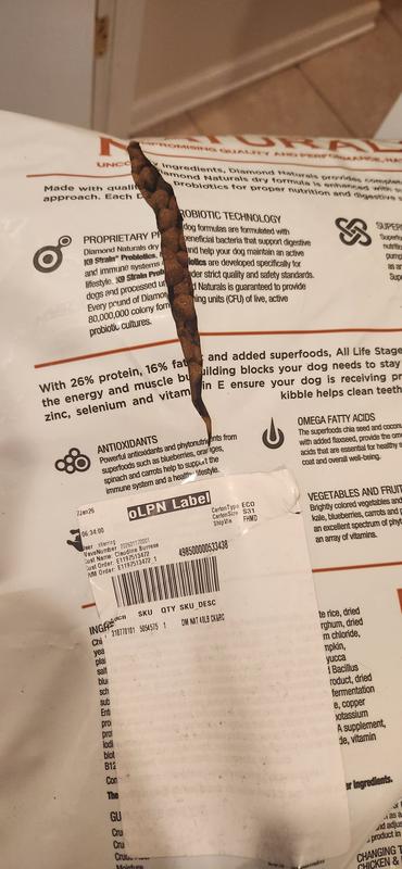 Thankfully no food was lost.