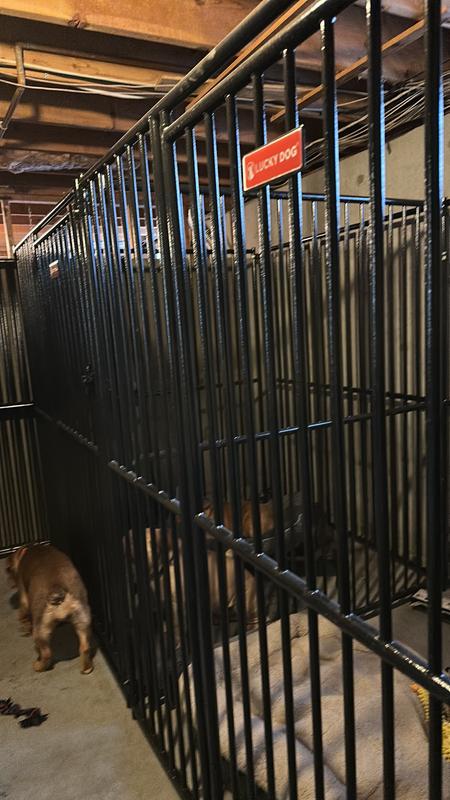 ＤＯＧＳ Lucky Dog 6 ft. x 5 ft. x 10 ft. Modular Welded Wire Dog