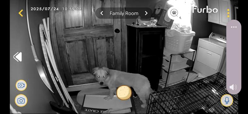 Caught outside of crate.