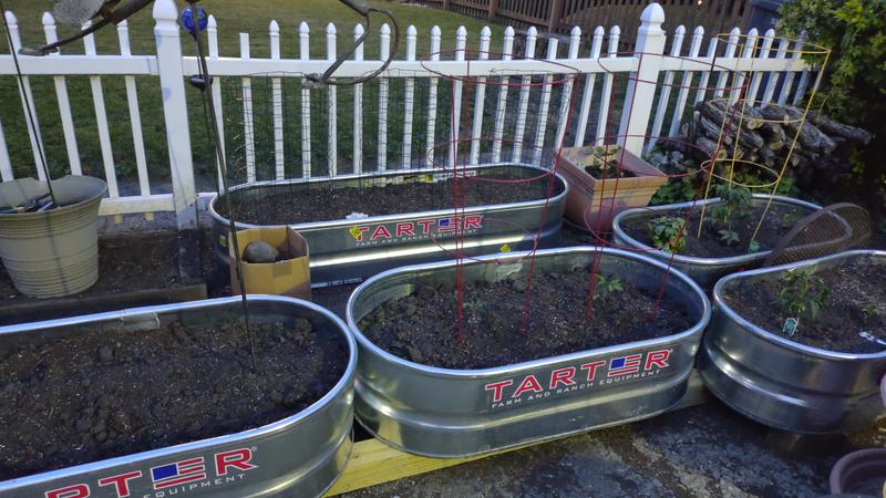 Tarter raised planters