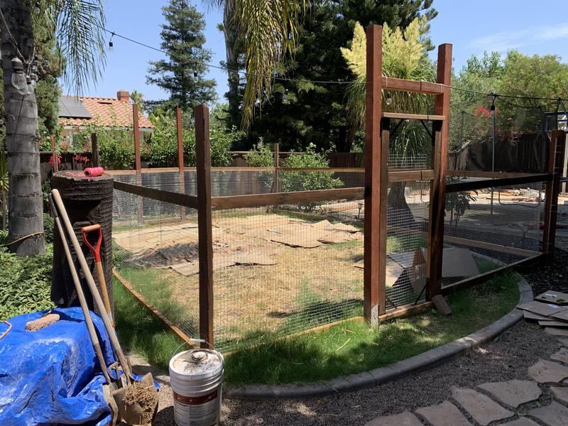 Ready for the squirrels!