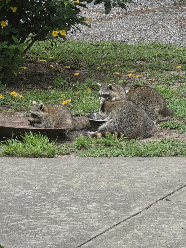 Family Feast!