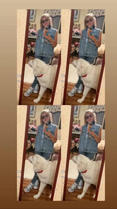 Healthy & Happy Puppy🐶Not even 6 mos.old yet🤩We’re a great pack in our home🏡as we have our puppy🐩& our American Bully🐕‍🦺getting along great together🐕💕😊They Love the Large Breed Puppy Food & No Grain Food by 4Health & Science Diet Sensitive Food😋