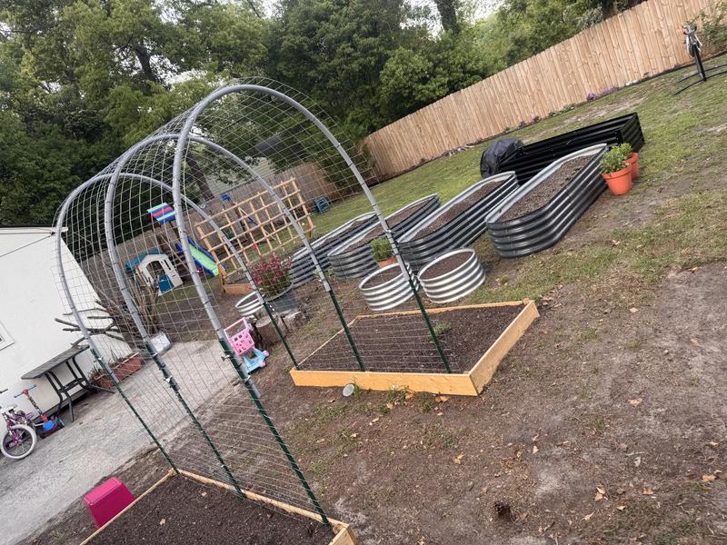 Trellis raised bed with these t posts as the anchors