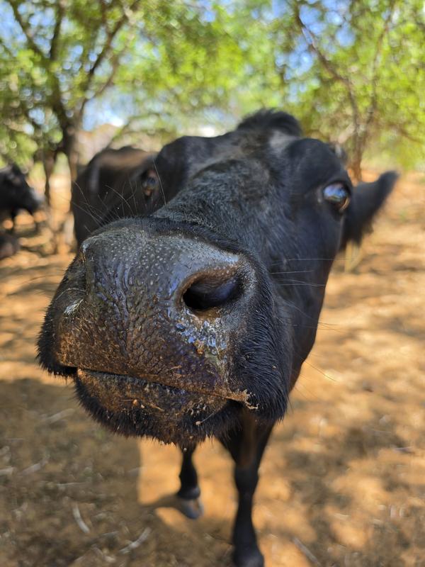 Feed my farm family