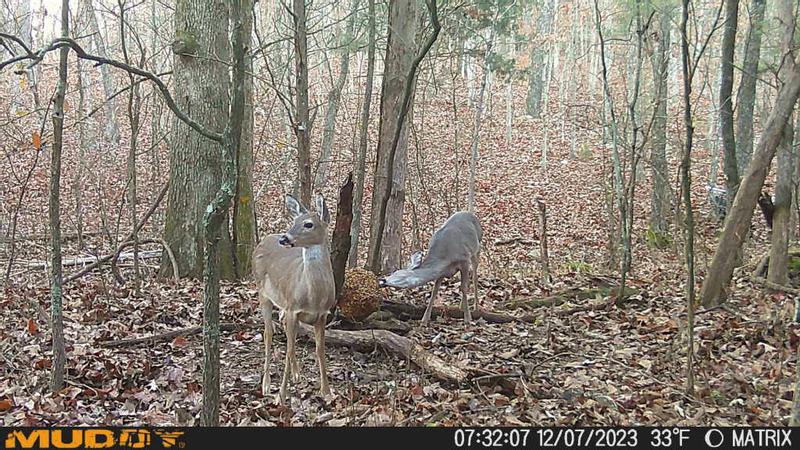 They love this block