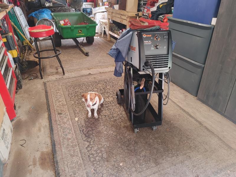 My welder helper...😂