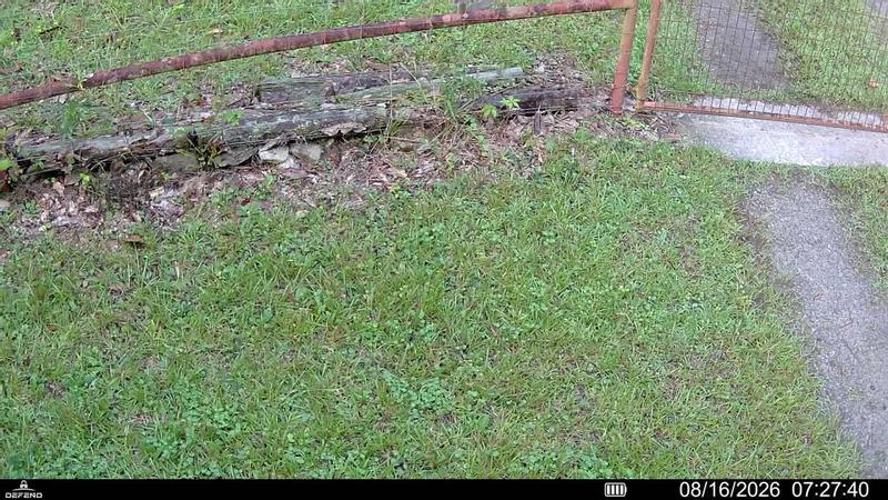 notice, it can't detect cars any time, but it could detect an armadilla at 2 AM!