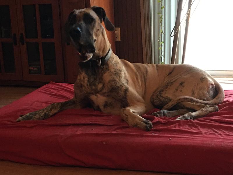 Where's my YUMM Stick?