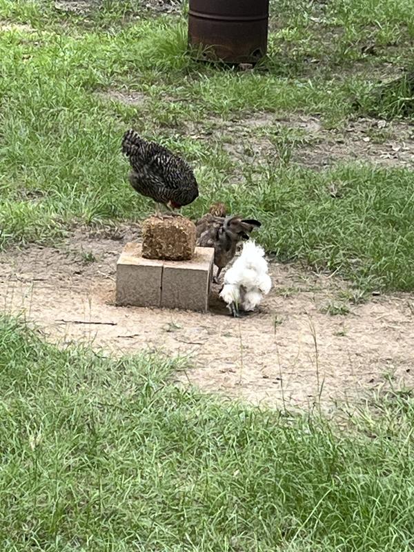 Block lasts about 2 wks