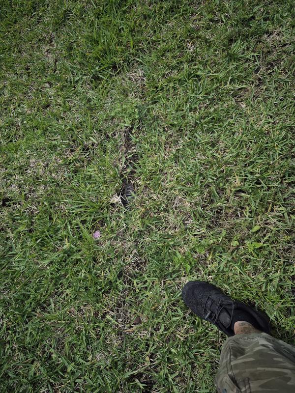 Review photo 1.