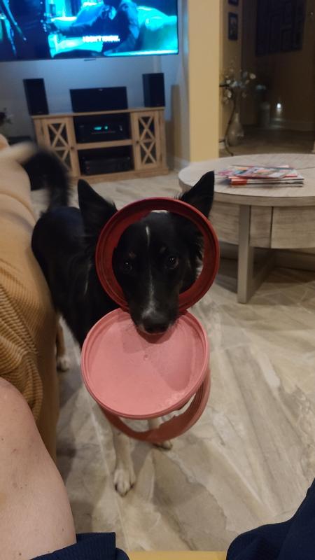 She loves her fresbiees