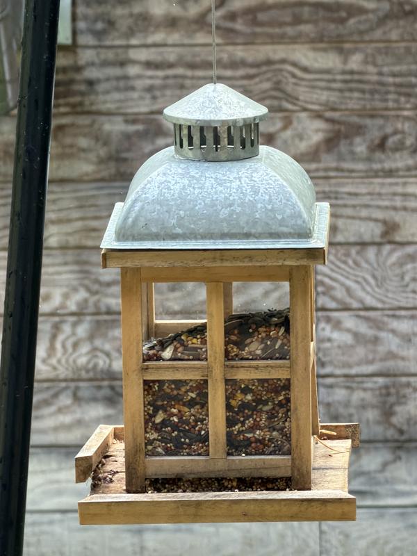 Bird feeder after getting damp on rain one time