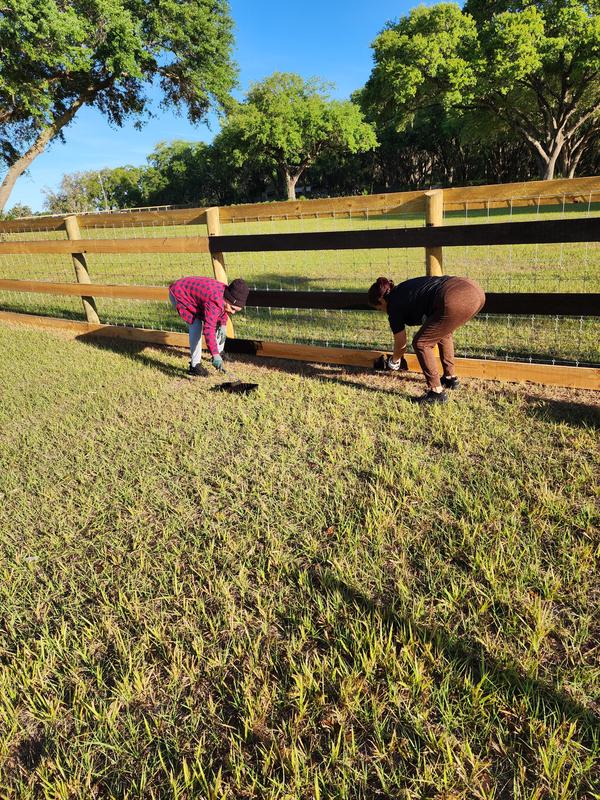My mom and wife painting