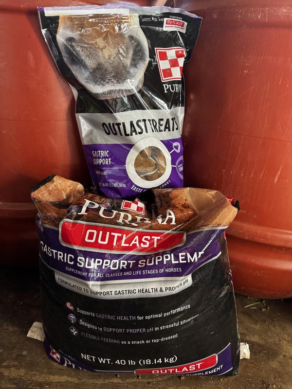 Treats and pellets!
