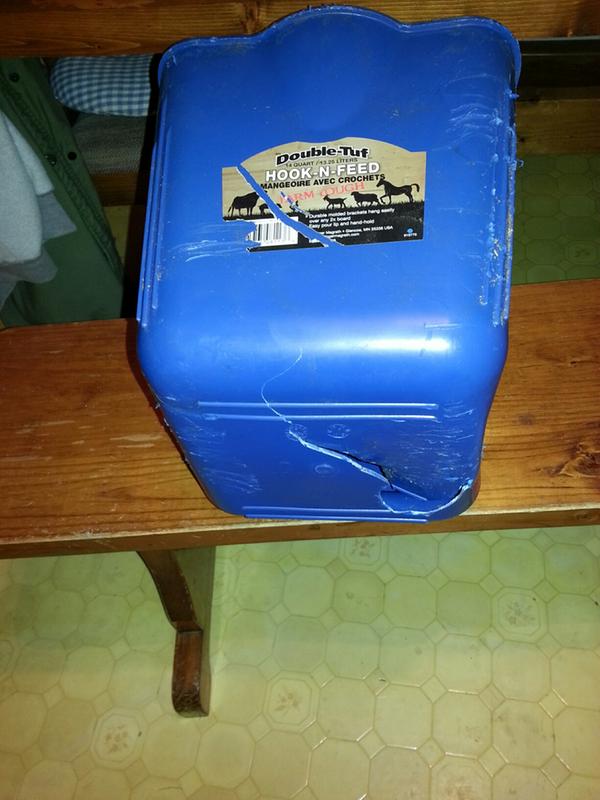 bucket 1