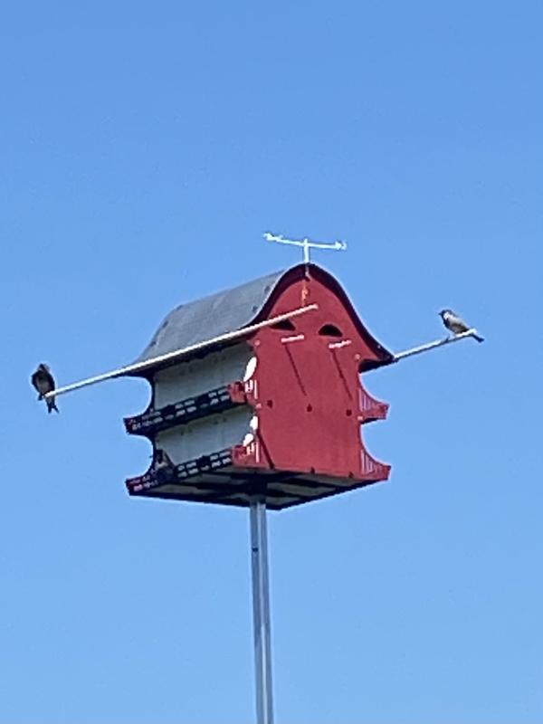 Royal Wing Tri-Tel Bird House Mounting Pole, 15 ft. at Tractor Supply Co