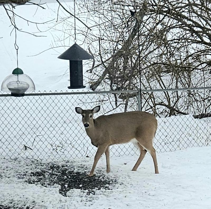 Review photo 2.