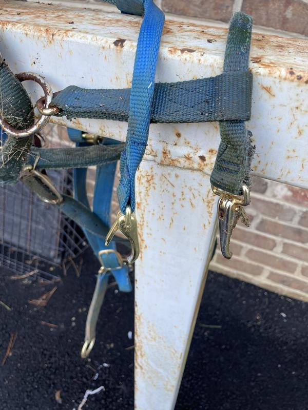 Broken throat latch snaps