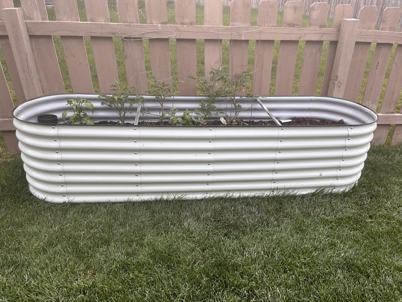 Tomatoes, etc