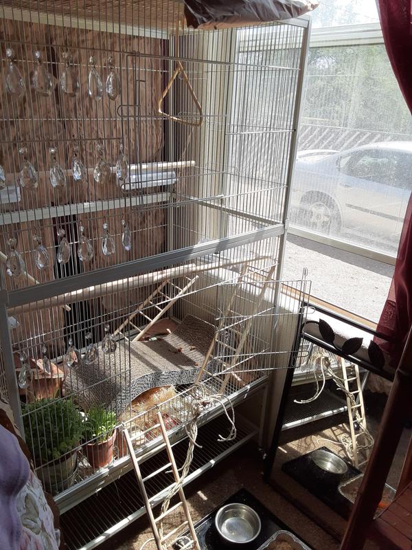 Barbie dream house for birds