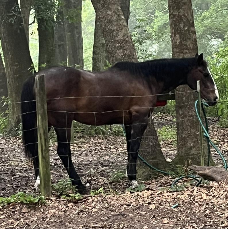 My 35 year old man