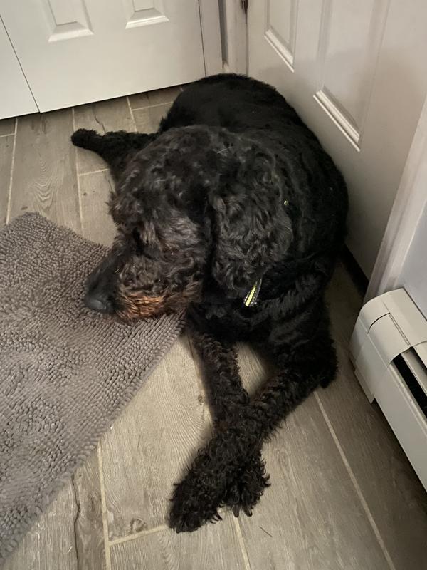 Nature's Miracle Skunk Odor Remover and Neutralizing Formula Shampoo