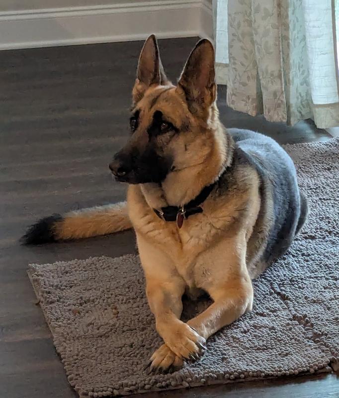 My girl Mia