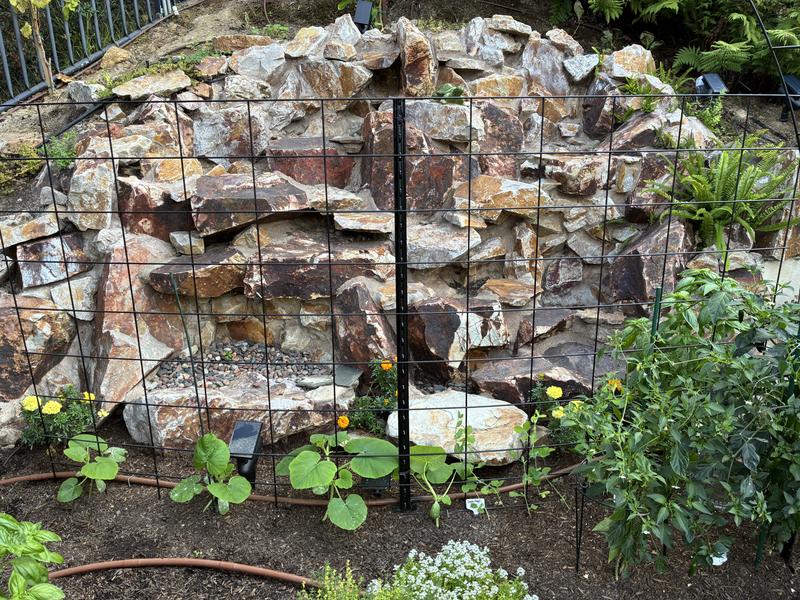 Panel for my squash plants