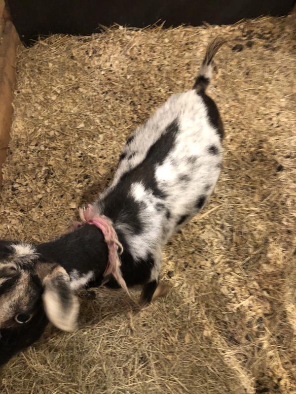 Before and after pictures