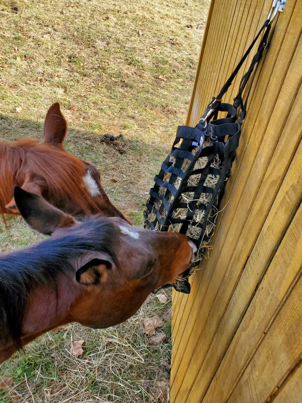 Sharing...at first. Great product.