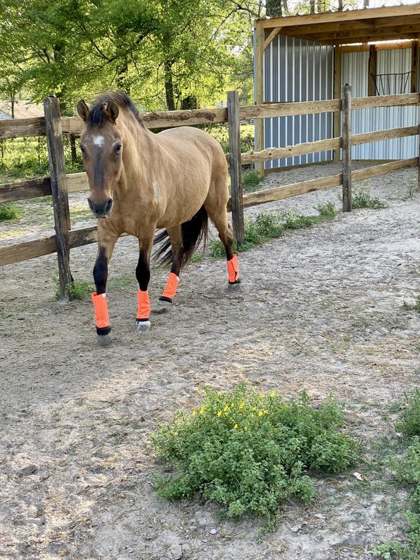 Sporting his new fly leggings