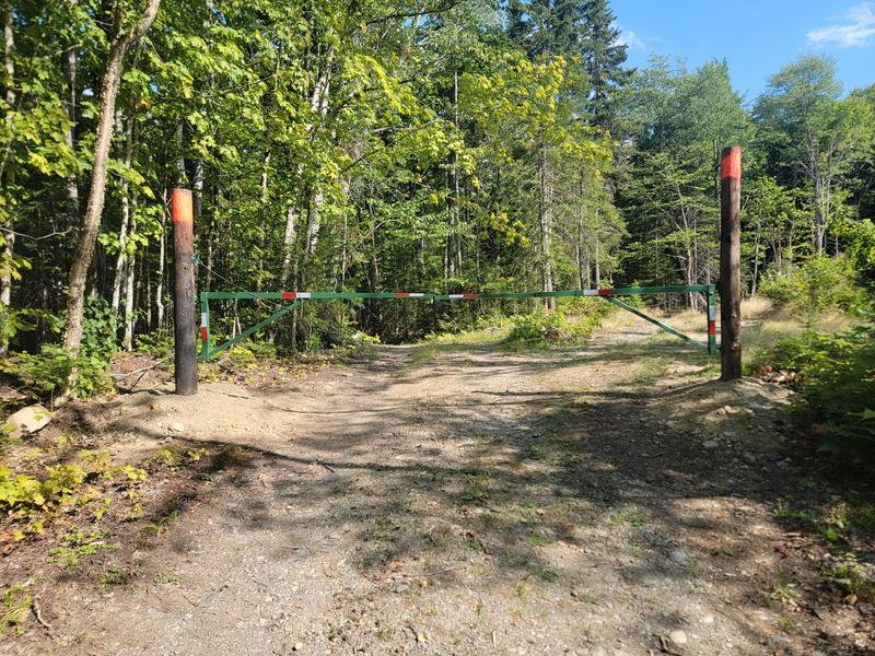 I actually bought 2..they are great.