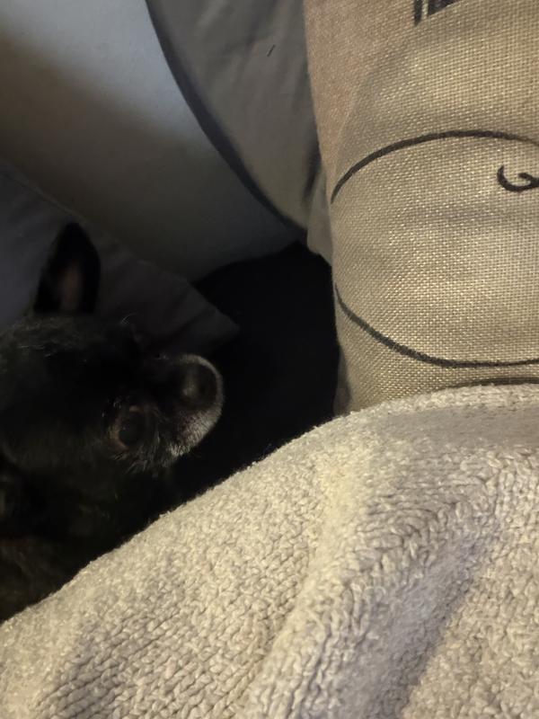 Little Charlie afterwards