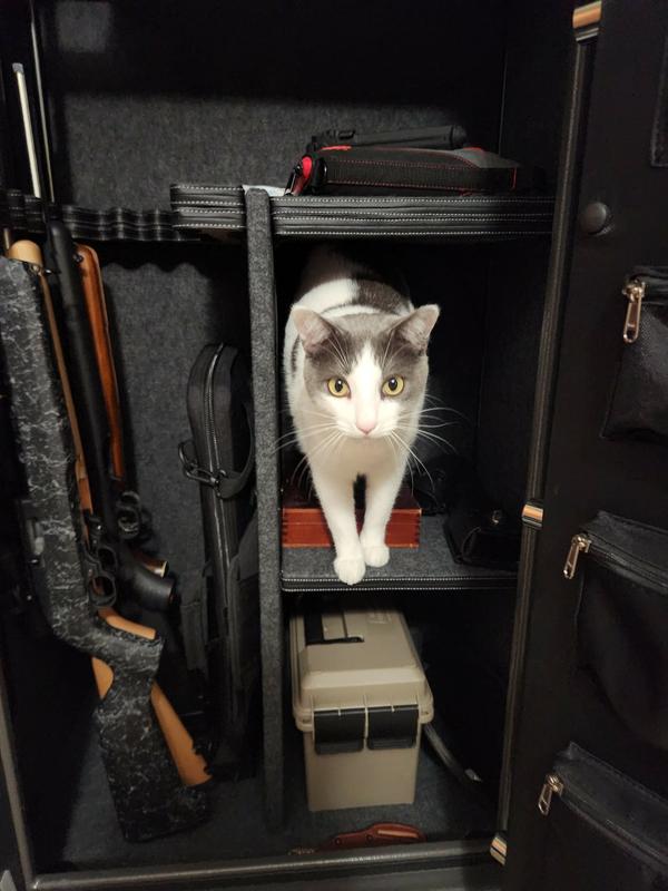 Frank the Barn Cat approves of the safe liner, very scratchable.