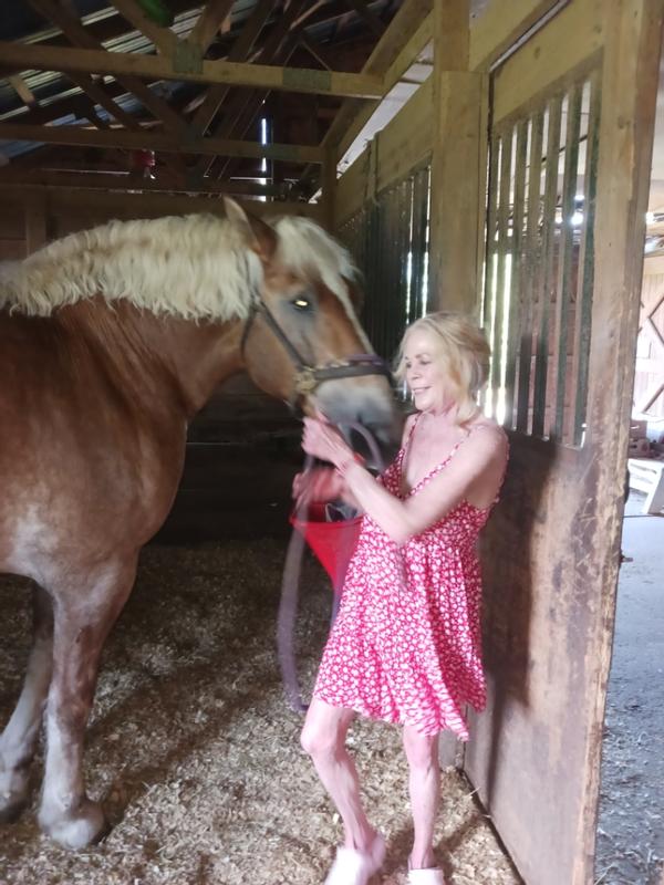 Eagle Point Plantation Equestrian Center