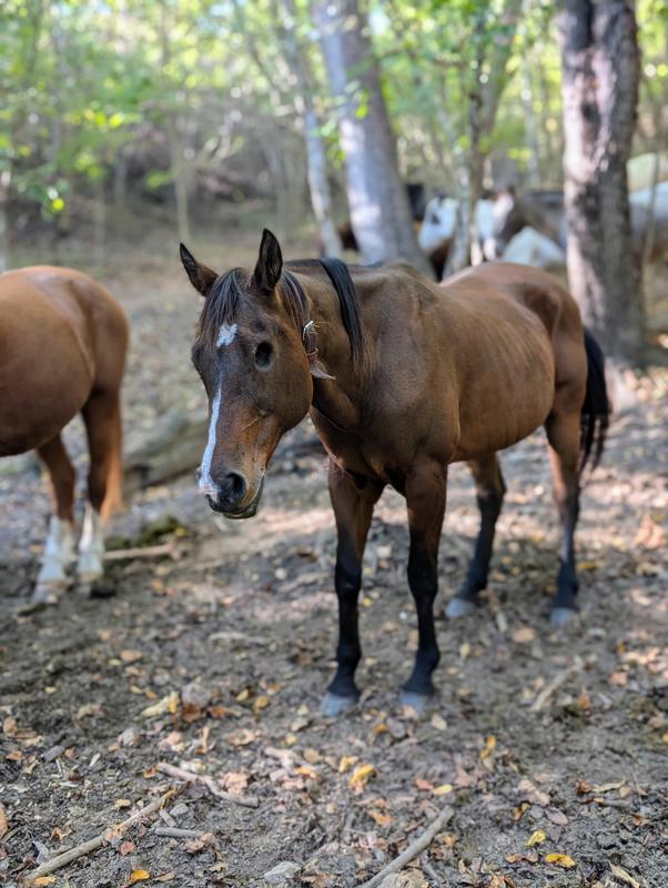 Before and after pics