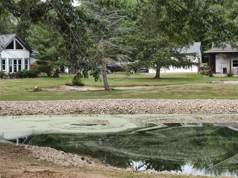 Still have algae after using this product