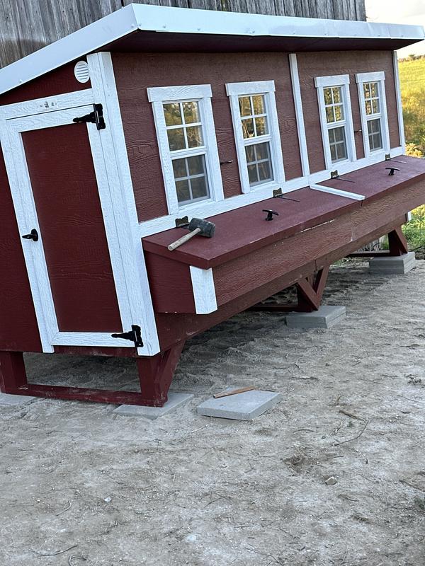 Old coop and new coop