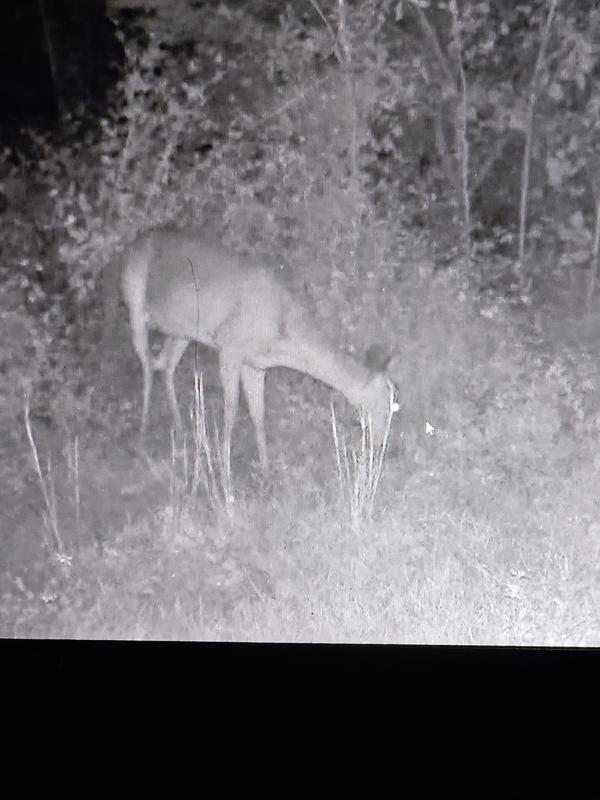 Review photo 2.